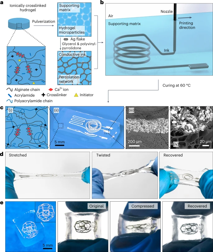 西湖大学周南嘉/陶亮合作：3D打印软水凝胶电子器件！