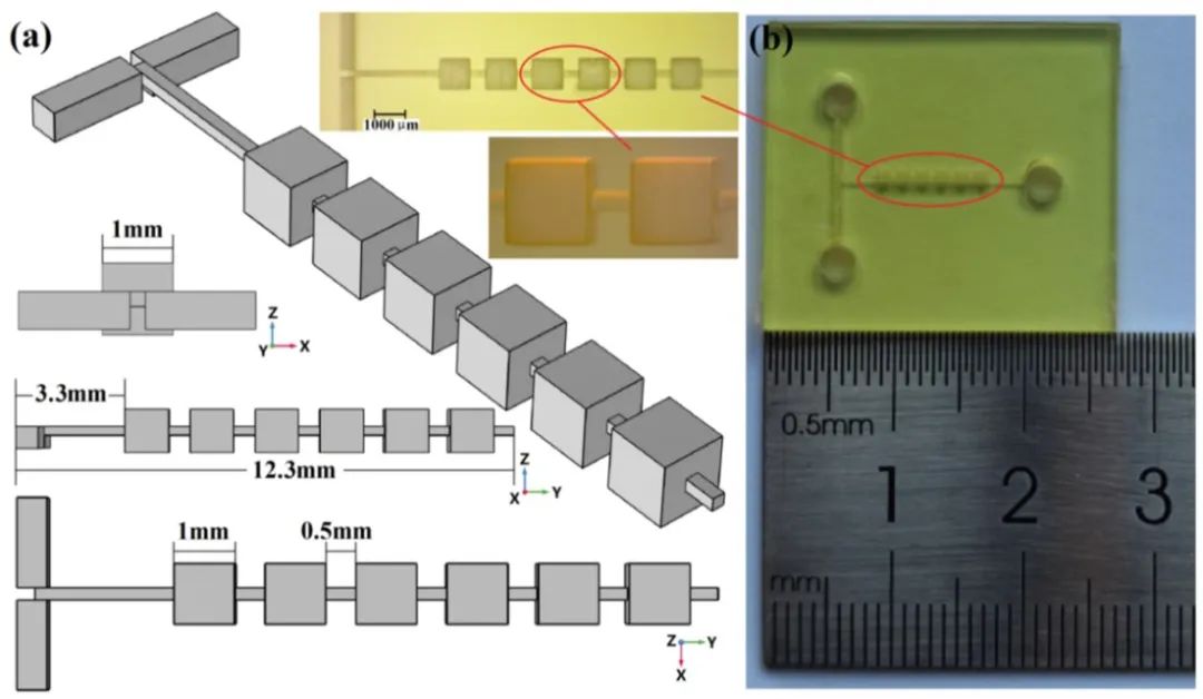 基于PμSL 3D打印的微混合器芯片用于研究单元连接对混合性能的影响